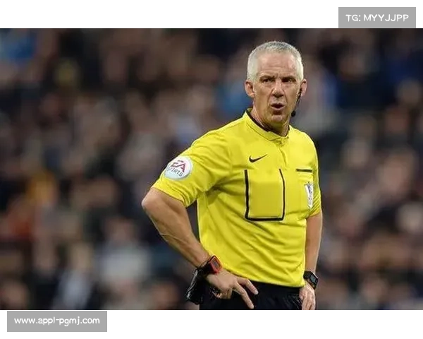 英超裁判执法评估,数据模型报告